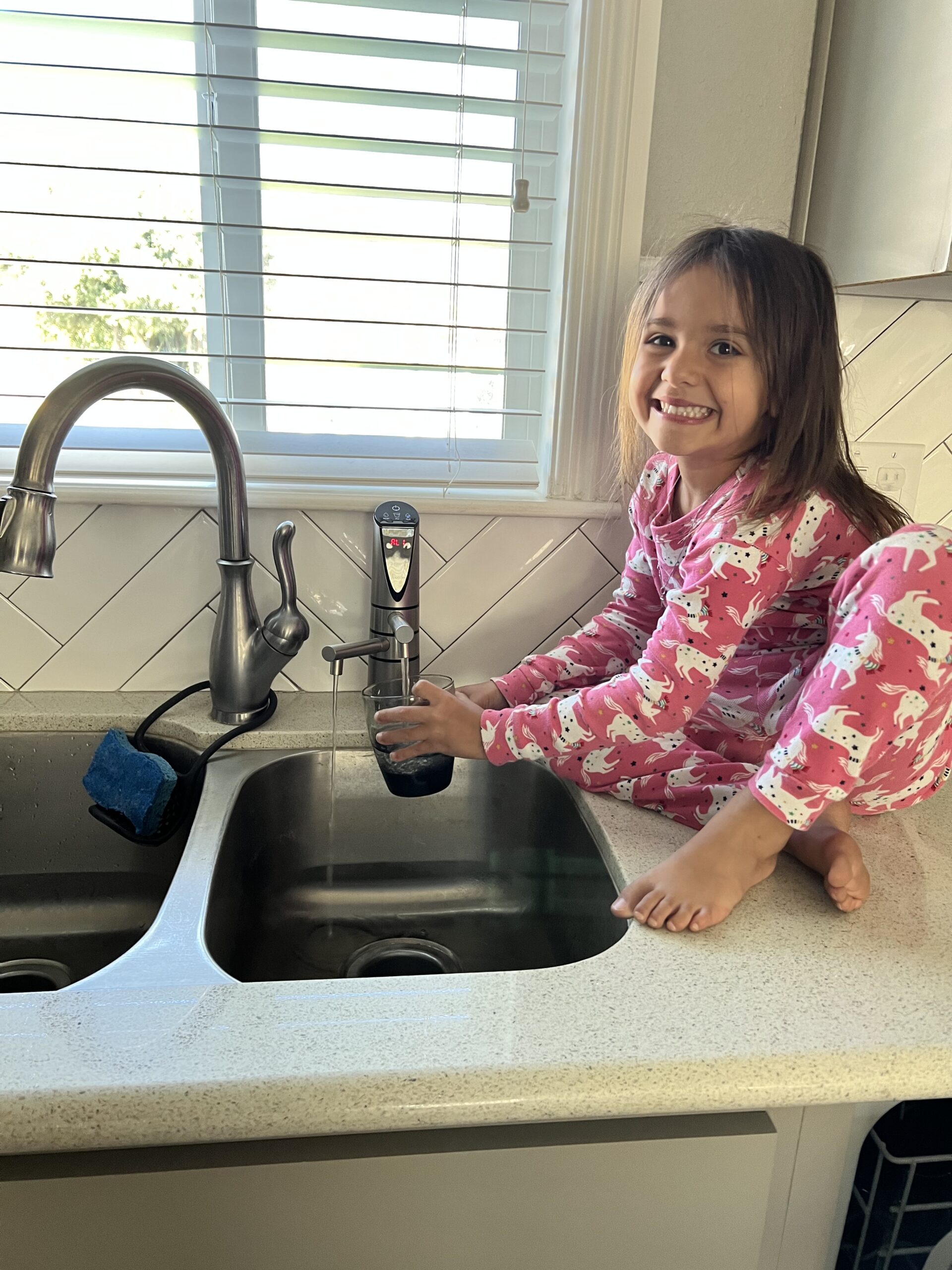 Delphi H2 Undersink Water Ionizer